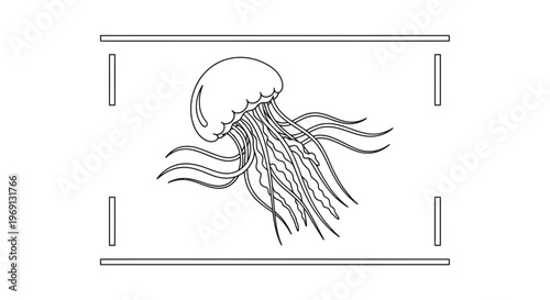 Elegant outline of a graceful marine creature jellyfish swimming freely underwater vector