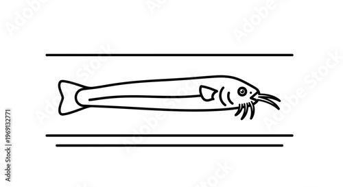Minimalist line art illustration of a freshwater catfish with prominent barbels in a simple