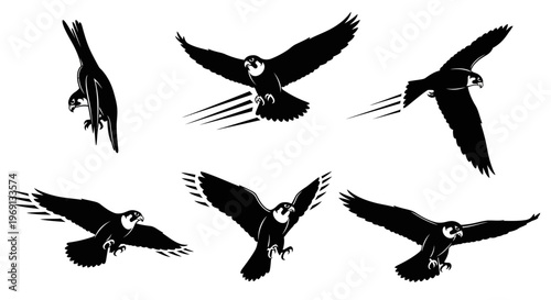Group of Birds in Flight Formation.