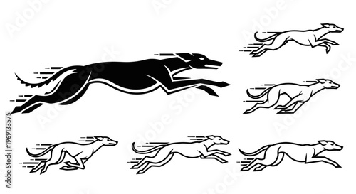 Greyhounds Running in Motion Sprinting Fast.