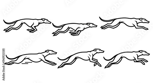 Greyhounds running in motion sequence fast.