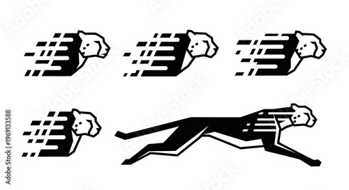 Greyhound Dog Running Fast Speed.