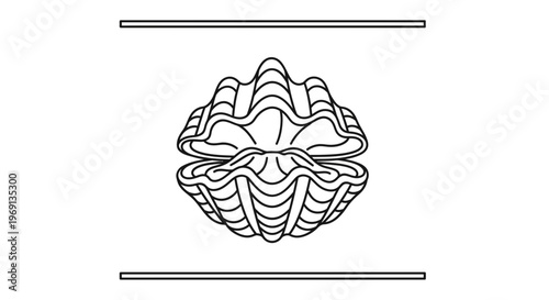 Elegant line art illustration depicting an open clam or oyster shell marine invertebrate graphic