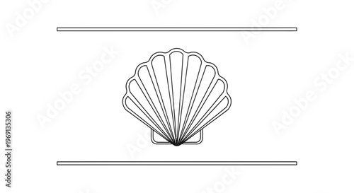 Minimalist single line art illustration featuring an elegant scallop seashell design on white