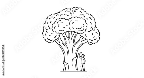 Minimalist line art illustration of a person admiring a giant tree's majestic presence