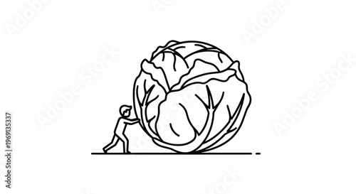 A dedicated individual's colossal effort pushing an oversized cabbage in a minimalist line art