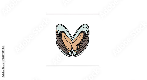 Minimalist vector illustration of an open bivalve mollusk showcasing its inner structure and two