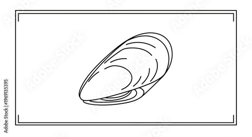 Minimalist line art illustration of a single mussel shell for culinary or marine life designs