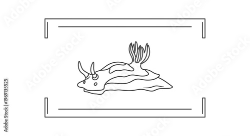 Elegant minimalist line art illustration of a fascinating nudibranch marine creature within a