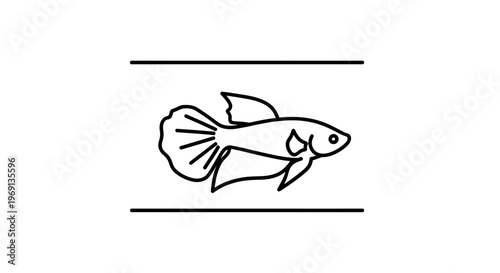 Elegant minimalist outline illustration of a graceful Siamese fighting fish swimming peacefully