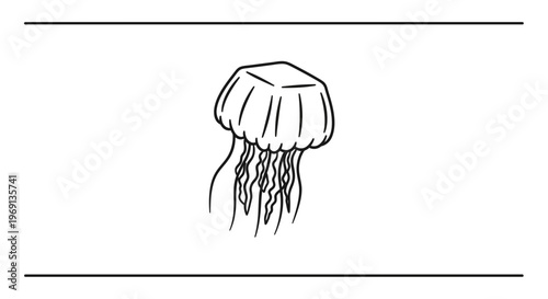 Minimalist black outline drawing of a graceful ocean jellyfish with flowing tentacles isolated on