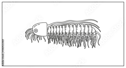 Stylized prehistoric invertebrate with multiple tentacles and segmented body line drawing