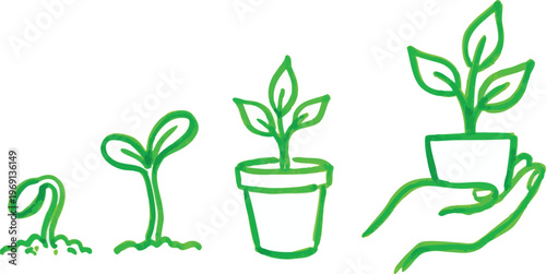 Green Hand-Drawn Plant Growth Sequence From Seedling To Potted Plant.