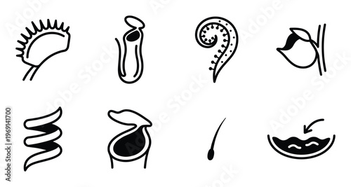 Carnivorous plants line icons set featuring venus flytrap pitcher plant and exotic flora silhouettes