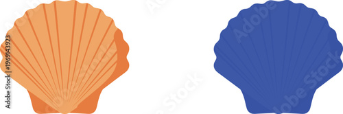 Orange and blue scallop shells ocean