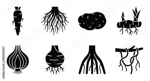 Root vegetable and plant root system silhouette icons for gardening and botanical biology education