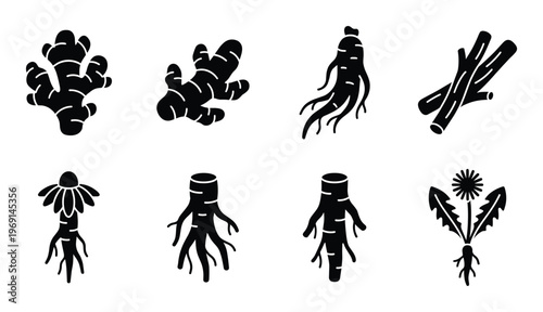 Set of root and herb icons silhouette on gray checkered background isolated