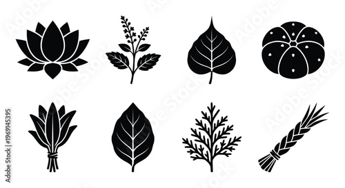 Set of traditional indian plants and natural elements vector icons isolated