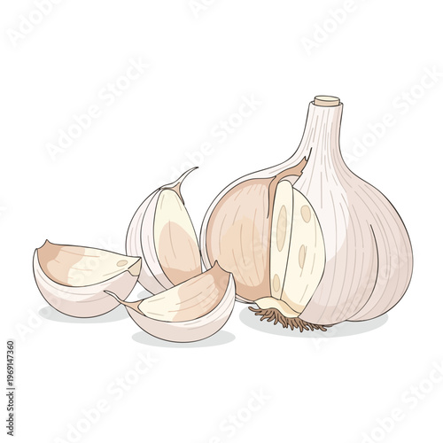 A whole garlic bulb and three detached cloves are depicted against a white background