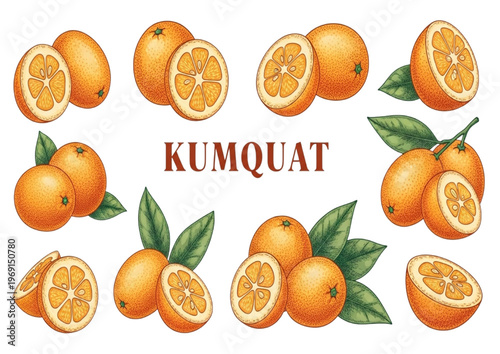 Vibrant and exotic kumquat fruit collection, whole and sliced, with fresh green leaves for healthy living concepts