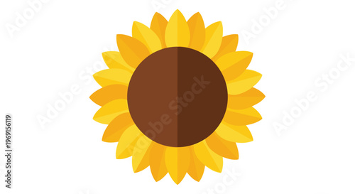 Sunflower Close Up Illustration.