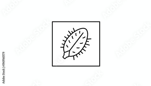 Stylized Outline Icon of a Seed with Spikes