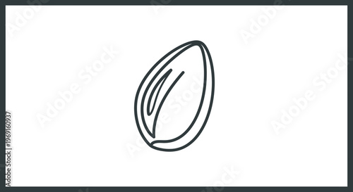 Single almond nut icon, line art illustration, isolated on white background, healthy food concept