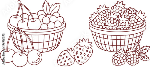 Outline of fresh berries in baskets with strawberries and raspberries