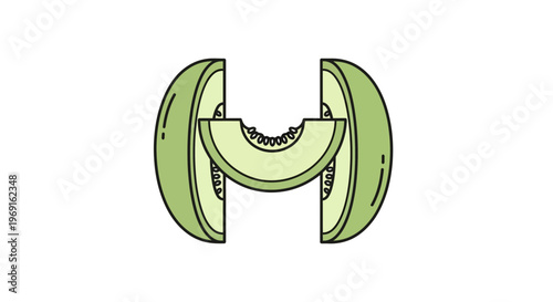 Minimalist fresh green melon illustration with distinct slice removed forming abstract letter H