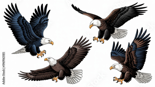 Four majestic black vultures in mid-flight against a plain background