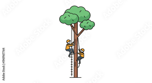 Professional tree climbers executing careful ascent for maintenance or inspection