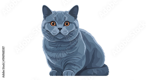 British Shorthair Blue Cat Sitting Front View Vector Illustration
