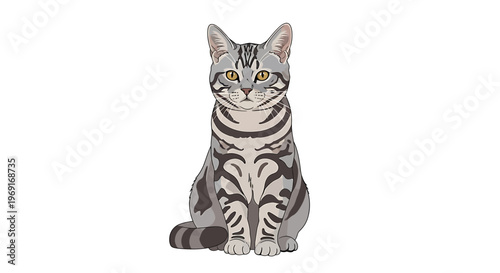 American Shorthair Silver Tabby Cat Sitting Front View Illustration
