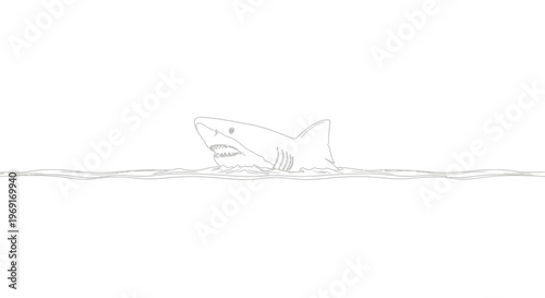 Sleek marine predator line art surfacing from the calm ocean water a clean minimalist vector