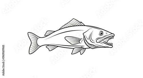 Dynamic black and white line art illustration of a powerful predatory fish with sharp teeth