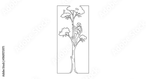 Continuous line drawing of an arborist ascending a towering tree with precision and safety harness