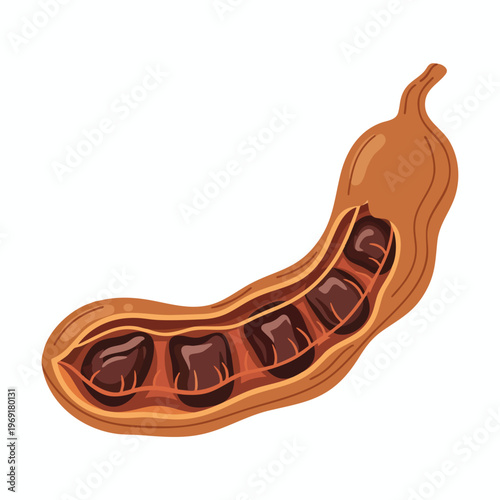 Brown, elongated pod, sliced open to reveal dark seeds within