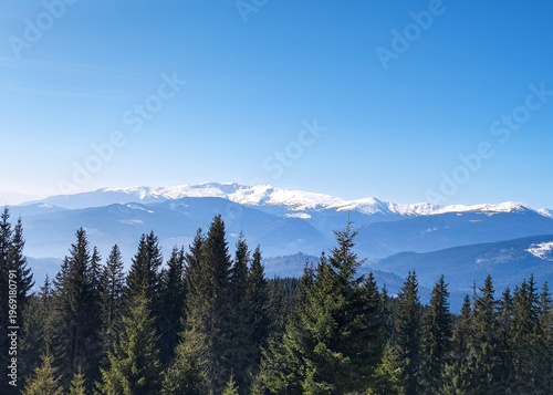 Mountain panorama with snow covered peaks and evergreen forest