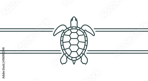 Minimalist sea turtle graphic illustration with clean lines forming an elegant ocean-themed banner