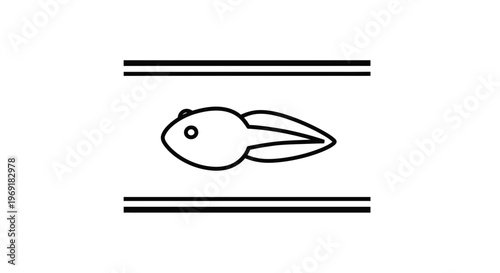 Minimalist aquatic life stage illustration featuring an early amphibian form in clean outline