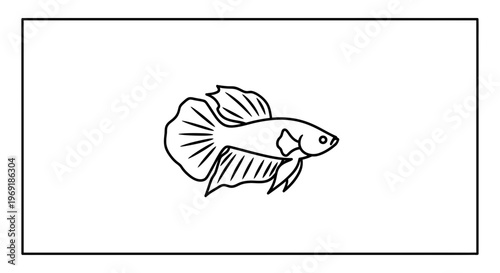 Elegant minimalist outline illustration of a Siamese fighting fish swimming gracefully vector art