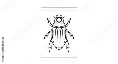 Detailed outline illustration of an ancient scarab beetle symbol between clean lines