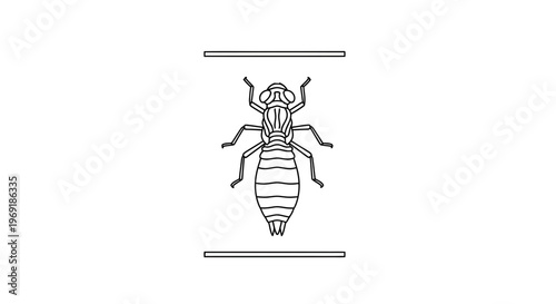 Stylized linear entomological illustration of an insect larva in a monochrome outline, a simple