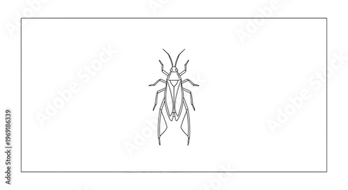 Detailed monochrome line art illustration of an insect with intricate body structure on a pristine