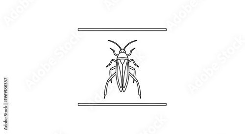 Outline drawing of a common insect, a simplified graphic representation perfect for design uses