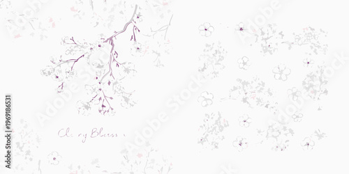 Delicate cherry blossom branches with subtle pink and white hues