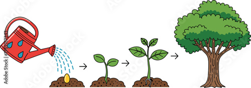 Plant Growth Stages Vector Illustration Featuring Watering Can Seed Germination Sprout Development and Mature Tree Lifecycle Concept for Gardening and Nature Education