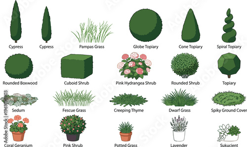 Garden plant types illustration, labeled trees shrubs grasses and topiary shapes collection, landscaping design elements, botanical vector set for outdoor environment projects