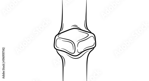 Detailed black and white line art depicting a human anatomical joint structure ideal for education