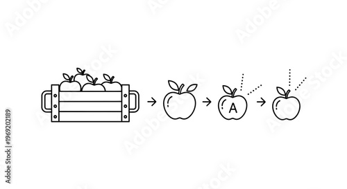 Visual representation of A/B testing methodology for optimal choice selection strategy